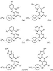 Figure imgf000033_0001