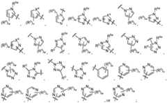 Figure imgf000079_0001