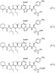 Figure imgf000055_0001