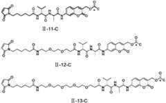 Figure FDA0003376679430000073