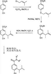 Figure S2006800208056D00641