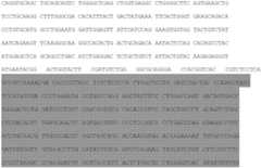 Figure BDA0001740465650000253