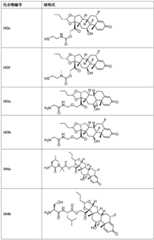 Figure BDA0002889616220000711