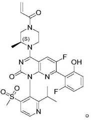 Figure BDA0002861043520000481