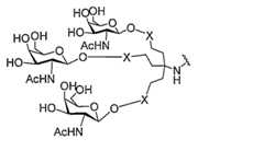 Figure 0007429103000198