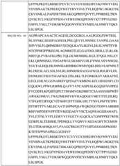 Figure BDA0002742983620000441