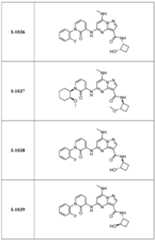Figure imgf000305_0001