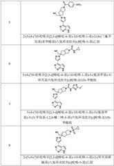 Figure BDA0002319666810000081