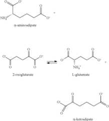 Figure US08133704-20120313-C00016