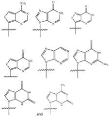 Figure imgf000063_0001