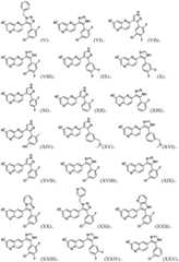 Figure BDA0003109483470000291