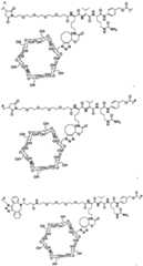 Figure BDA0002889616220001041