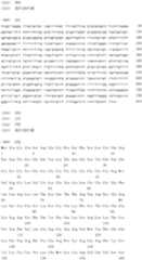 Figure IDA0000079231860001771