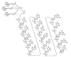 Figure 108131991-A0202-12-0023-5