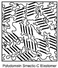 Figure US07799243-20100921-P00001