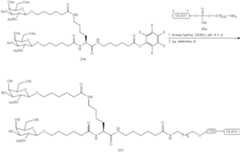 Figure US10927372-20210223-C00356