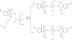 Figure US07250517-20070731-C00035