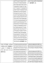 Figure 2024506650000007