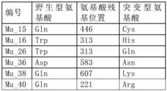 Figure BDA0002777135040000132