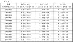 Figure 0007057276000046