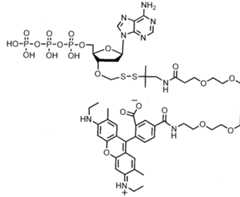 Figure imgf000248_0001