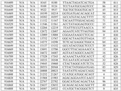 Figure BDA0002976854330001221