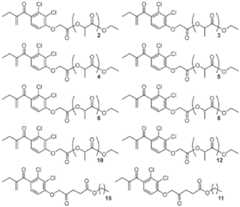 Figure BDA0002537542900001151