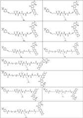 Figure PCTCN2022073822-appb-000360