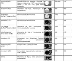 Figure imgf000035_0001