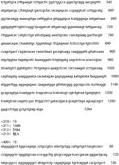 Figure IDA0002935257620000191