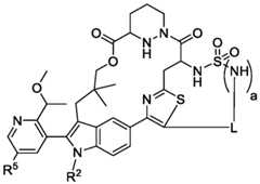 Figure imgf000106_0001