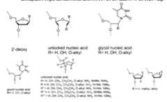 Figure imgf000056_0003