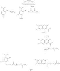 Figure US08343710-20130101-C00006