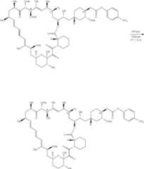 Figure US12048749-20240730-C00820