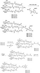 Figure BDA0003018192690003311