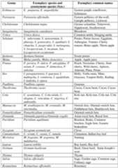 Figure imgf000011_0001