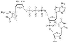 Figure imgf000067_0002