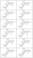 Figure imgf000329_0001