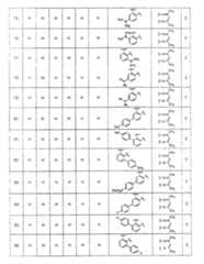 Figure A20081018956900641