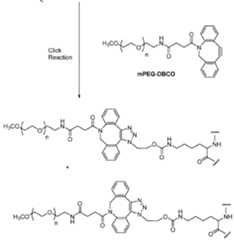 Figure imgf000031_0001