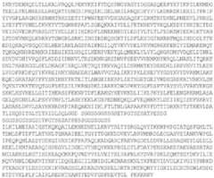 Figure BDA0003873639730000751