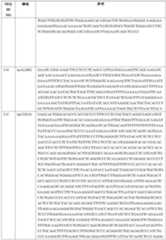 Figure PCTCN2022110545-appb-000086