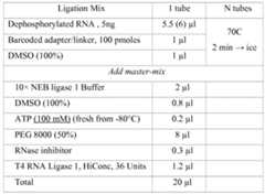 Figure imgf000024_0001