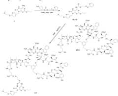 Figure imgf000208_0001