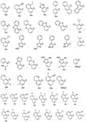 Figure PCTCN2022124111-appb-000163