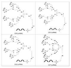 Figure 106103567-A0304-12-0252-240