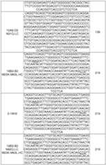 Figure imgf000168_0001