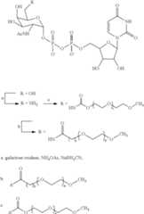 Figure US08916360-20141223-C00057