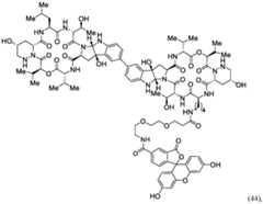 Figure imgf000061_0001
