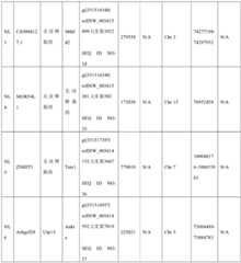 Figure BDA0002236234620000291